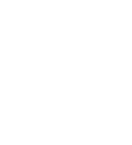 Mr. Casinova Logo